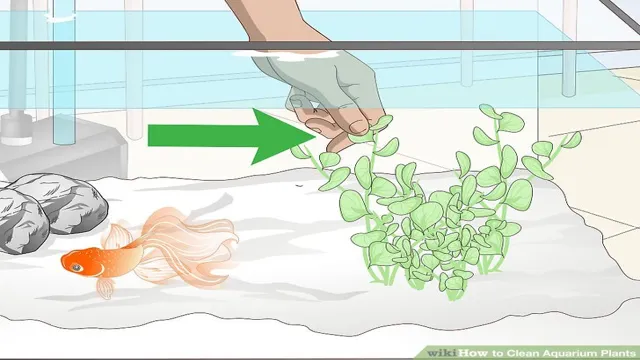 how to clean fabric aquarium plants