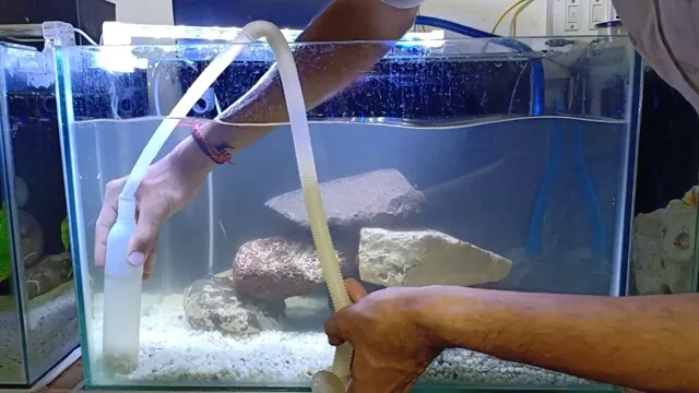 how to clean fish aquarium in hindi