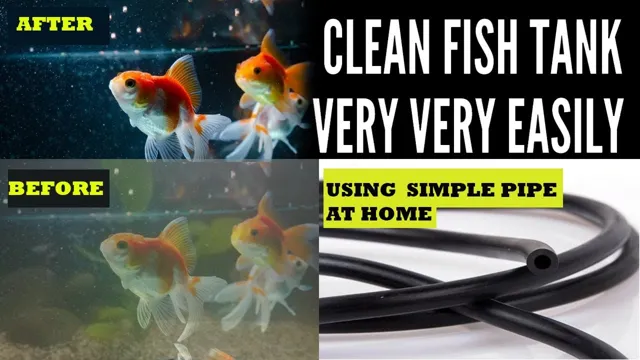 How to Clean Fish Aquarium in Hindi: Step-by-Step Guide for Crystal Clear Water