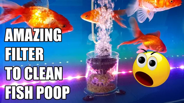 how to clean fish poop in aquarium