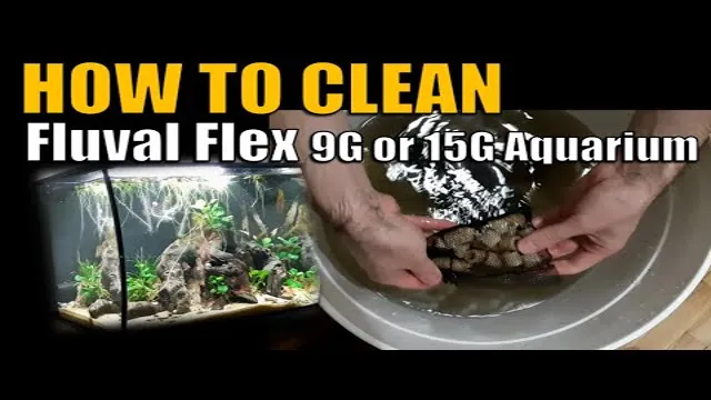 how to clean fluval aquarium