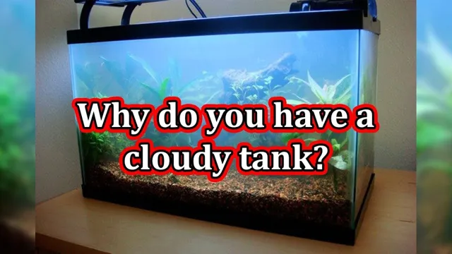 how to clean foggy aquarium water