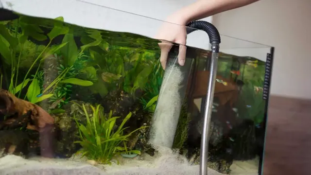 how to clean freshwater aquarium with sand