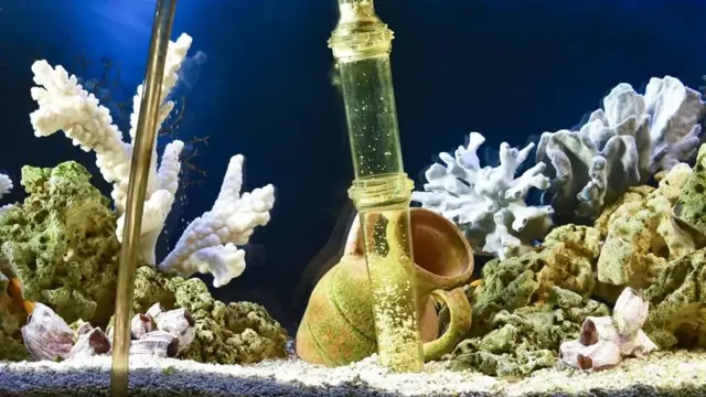 how to clean gravel in aquarium