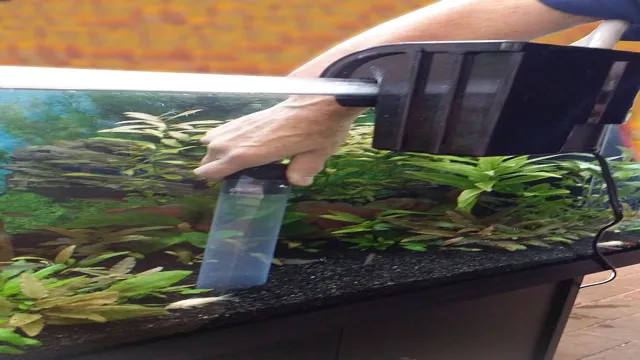 how to clean gravel in planted aquarium
