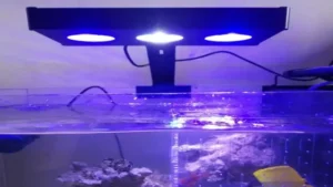 how to clean led aquarium lights