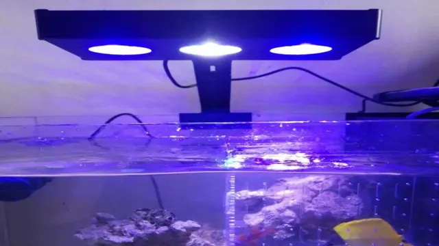 How to Clean LED Aquarium Lights: The Ultimate Guide for Sparkling Fish Tanks