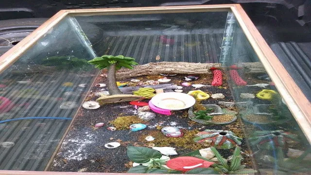 How to Clean Lid for Aquarium Hermit Crabs & Ensure a Healthy Habitat