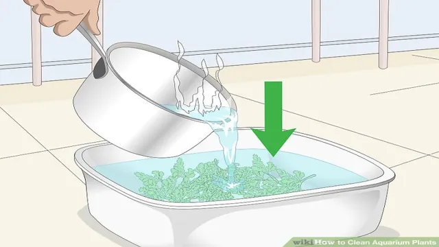 how to clean live aquarium plants with bleach