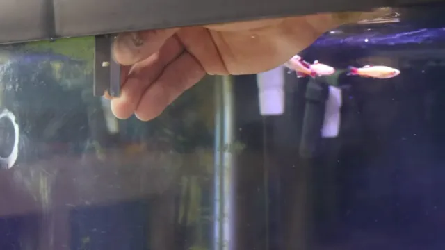 how to clean mineral film off of aquarium glass