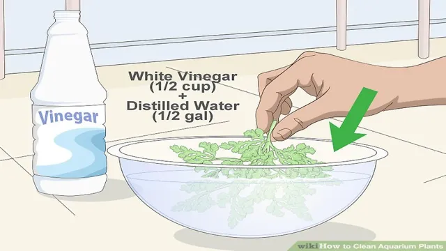 How to Clean My Artificial Aquarium Plants: A Step-by-Step Guide to Spotless Aquatic Greenery