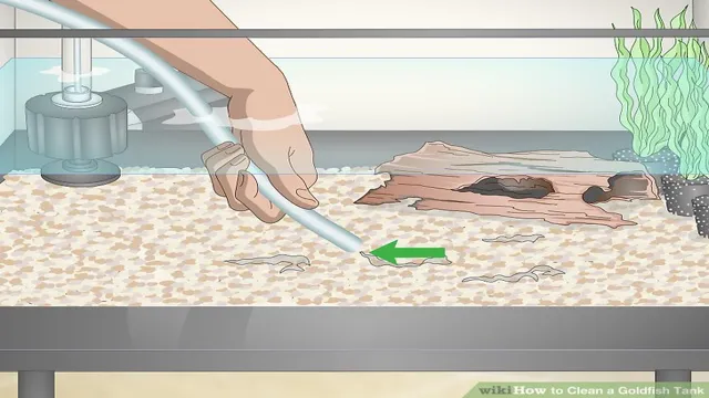 How to Clean My Goldfish Aquarium: Tips and Tricks for an Immaculate Tank