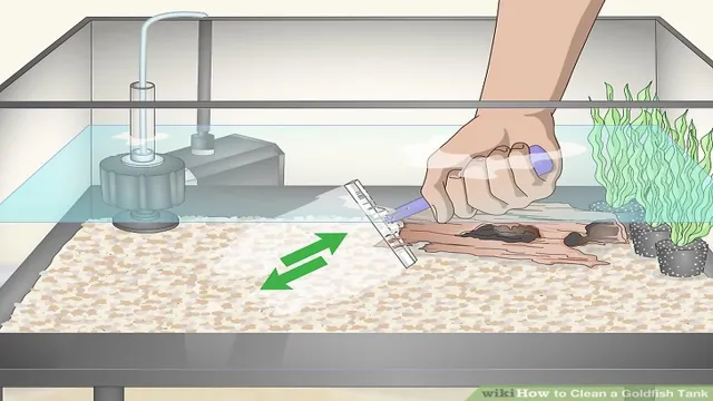 how to clean my goldfish aquarium