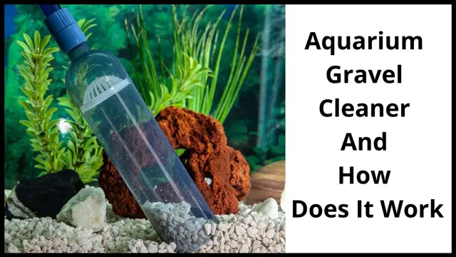how to clean natural rocks for aquarium