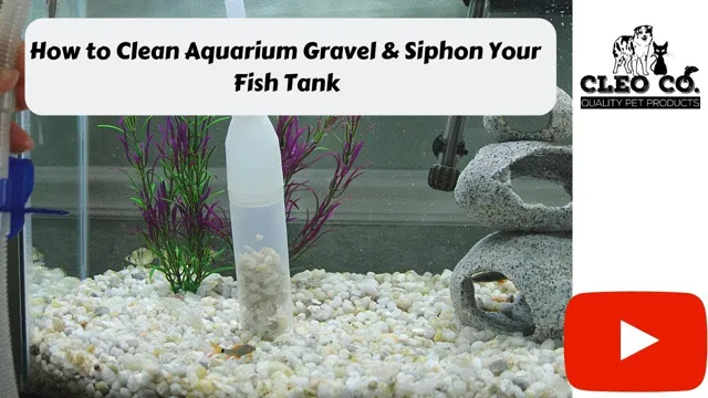 how to clean old aquarium gravel from ichl