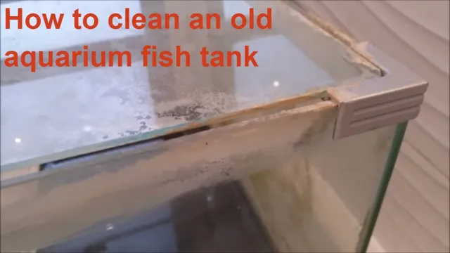 how to clean old aquarium tank