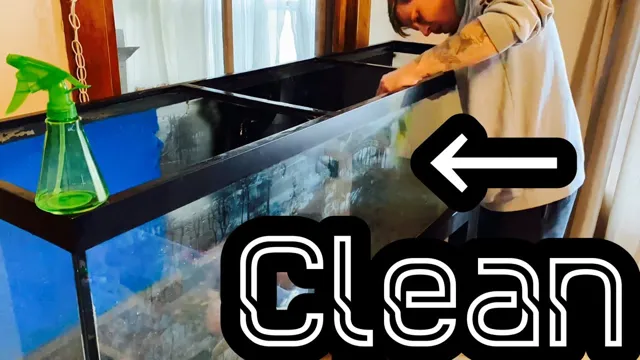 how to clean out old aquarium