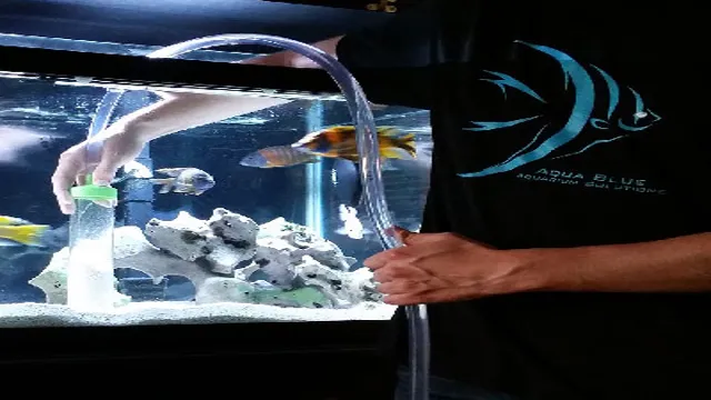 How to Clean Outside of Acrylic Aquarium: 5 Easy Steps for Spotless Results