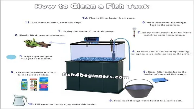 How to Clean Parts for Saltwater Aquarium: A Step-by-Step Guide