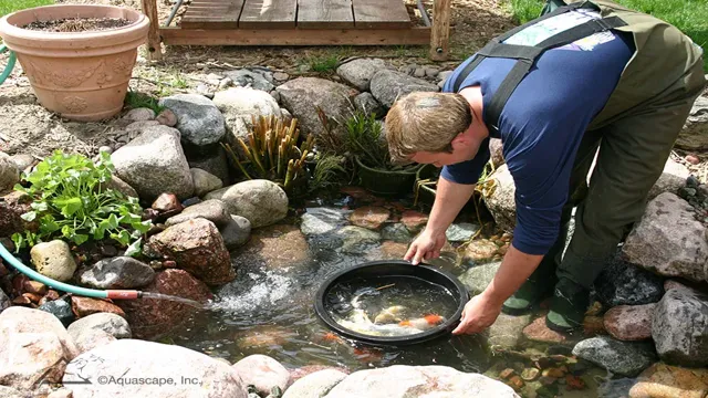 How to Clean Pond Plants for Aquarium Use: Simple Tips and Tricks