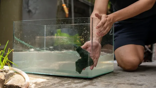 how to clean reef aquarium glass