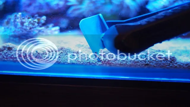 how to clean reef aquarium glass