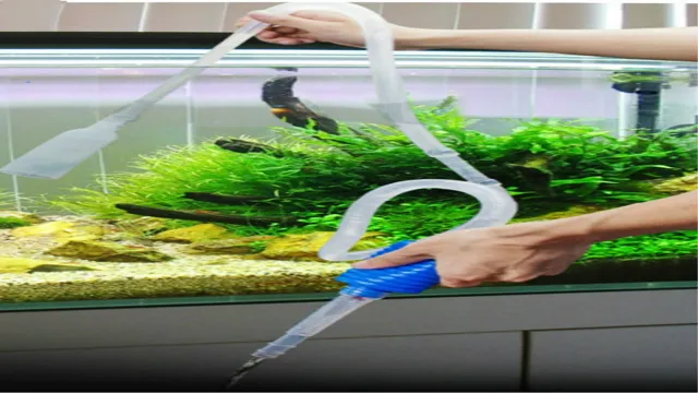 how to clean salt water aquarium sand with siphon
