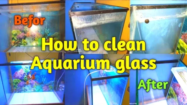 how to clean salt water stains on aquarium glass