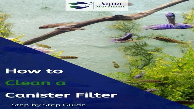 how to clean saltwater aquarium filter