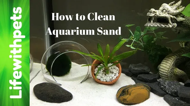 How to Clean Saltwater Aquarium Sand: A Step-by-Step Guide for Sparkling Tanks