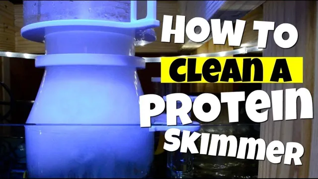 How to Clean Saltwater Aquarium Skimmer: A Step-by-Step Guide