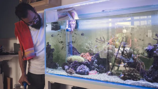 How to Clean Saltwater Aquarium Storage Tanks: A Step-by-Step Guide for Crystal Clear Water