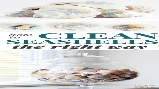 how to clean seashells for freshwater aquarium