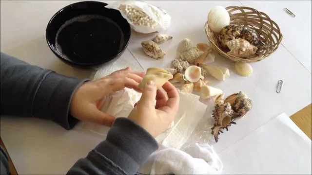 how to clean shells for aquarium