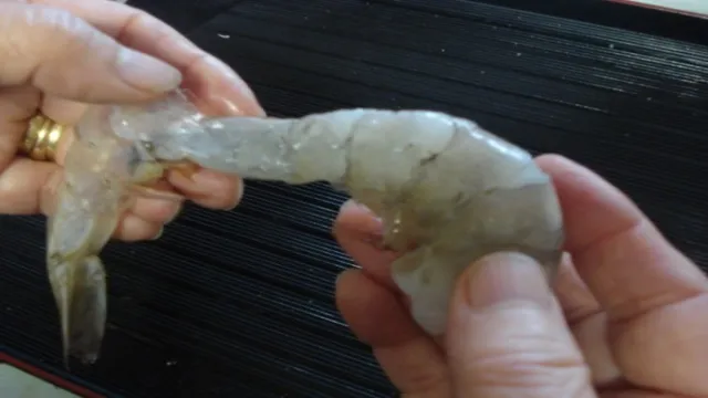 how to clean shrimp aquarium
