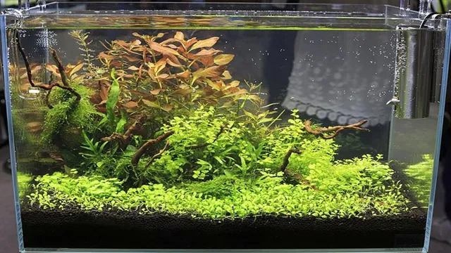 How to Clean Silk Aquarium Plants with Vinegar: A Step-by-Step Guide for Sparkling Results