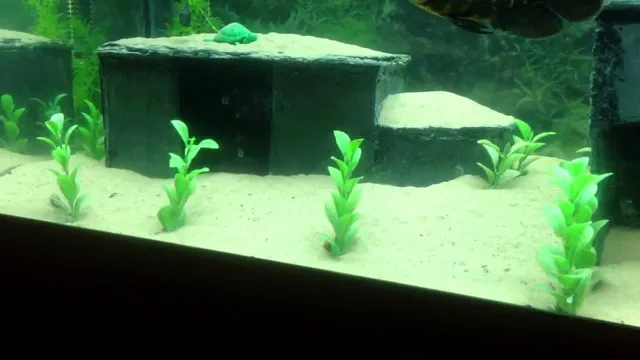 how to clean slate for aquarium