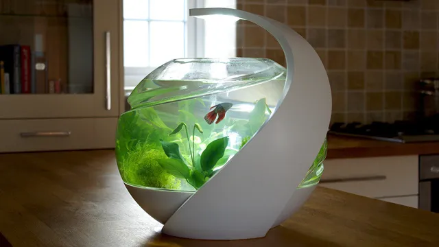 how to clean small aquarium without changing water