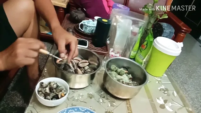 how to clean snail shells for aquarium