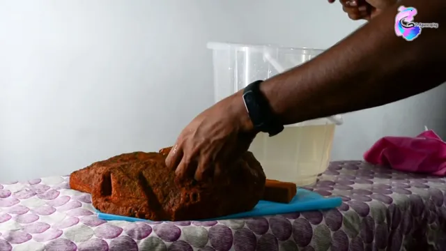 How to Clean Stones for Aquarium: A Step-by-Step Guide for Better Fish Health