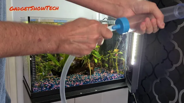 how to clean substrate in dirted aquarium