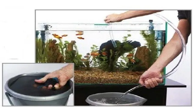 How to Clean Surface Water Aquarium: A Step-by-Step Guide