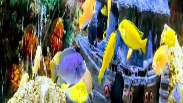 how to clean used aquarium ornaments