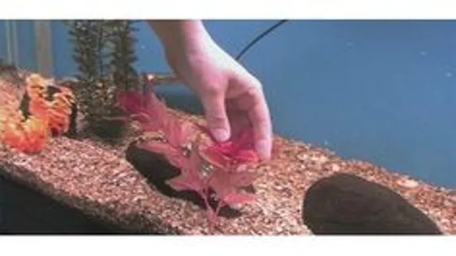 how to clean used aquarium rocks
