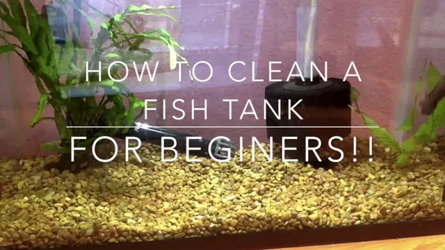 how to clean wall aquarium