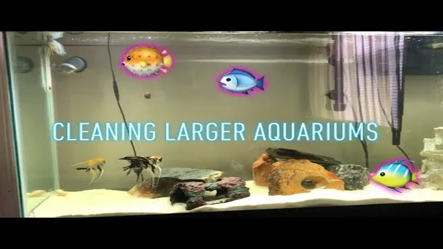 how to clean water in 55 gallon aquarium