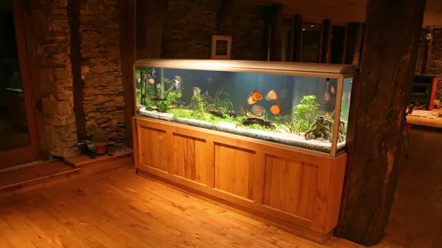 how to clean water in 55 gallon aquarium without filter