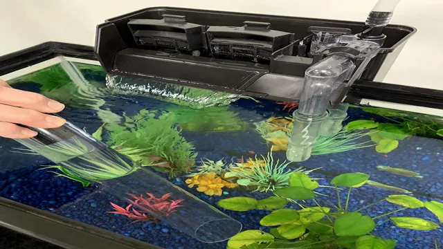 How to Clean Water in 55 Gallon Aquarium: Tips and Tricks for a Healthy Aquarium