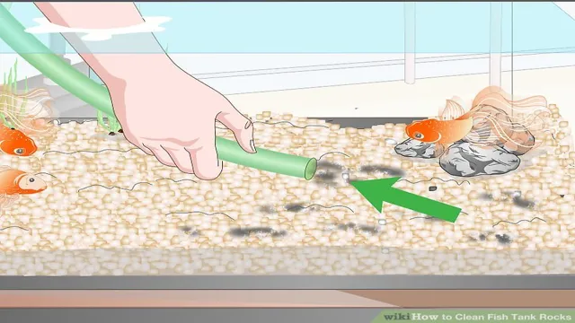 How to Clean White Aquarium Rocks and Keep Them Sparkling Clean