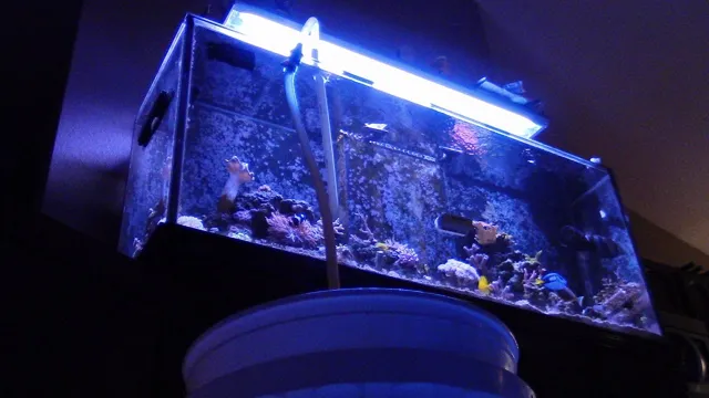 how to clean your aquarium sump